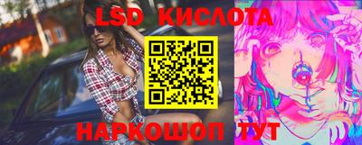 прущие грибы Новодвинск