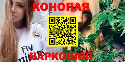 прущие грибы Новодвинск