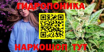 прущие грибы Новодвинск