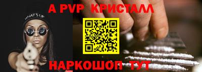 ECSTASY Новозыбков