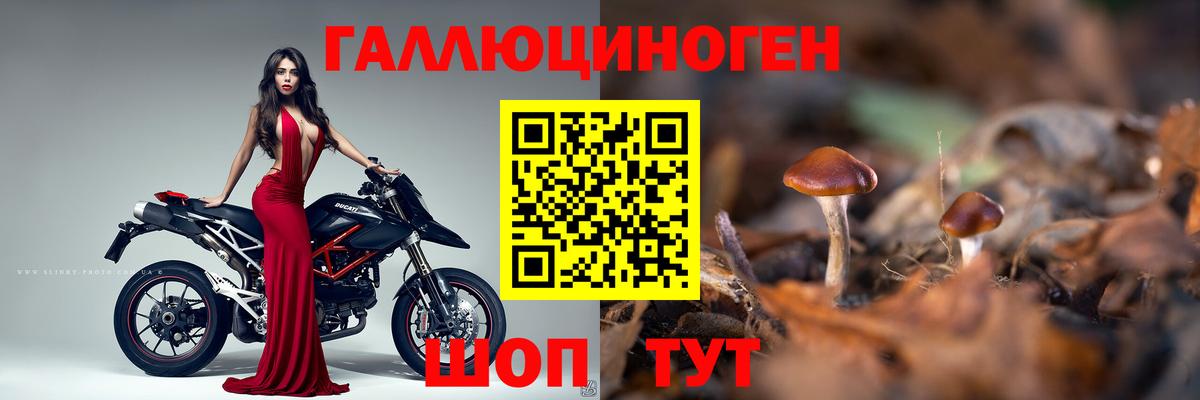 Галлюциногенные грибы GOLDEN TEACHER  Вход с VPN  Ханты-Мансийск 